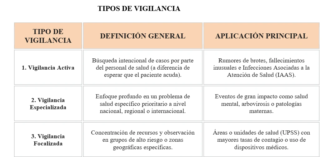 PLANMED ACADEMIA – CICLO 2027 - I